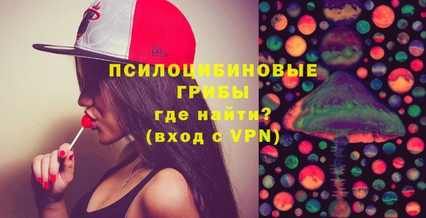 метадон Вяземский