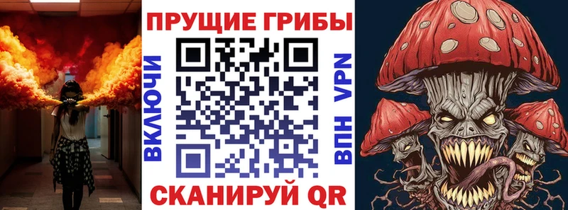где купить наркотик  Петровск-Забайкальский  Псилоцибиновые грибы Cubensis 